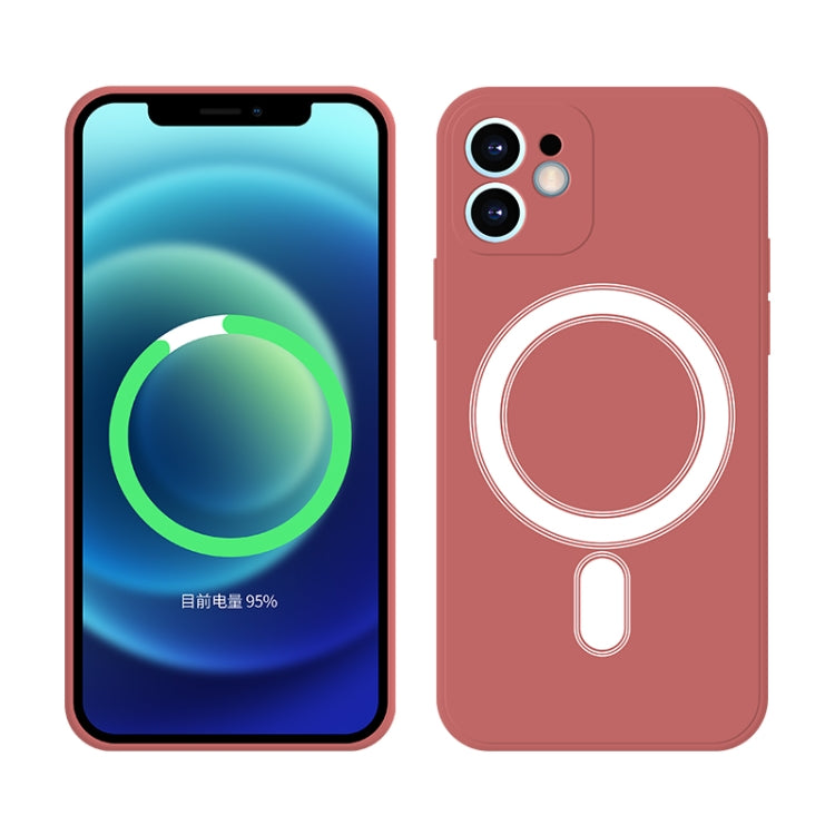 Silicone Full Coverage Shockproof Magsafe Case, For iPhone 11, For iPhone 11 Pro Apple Accessories engsil3948 More iPhone Cases - APEXEL INDIA - Mobile Lens - Mobile Camera Lens - Cellphone Accessories - Phone Lens - Smartphone Lens