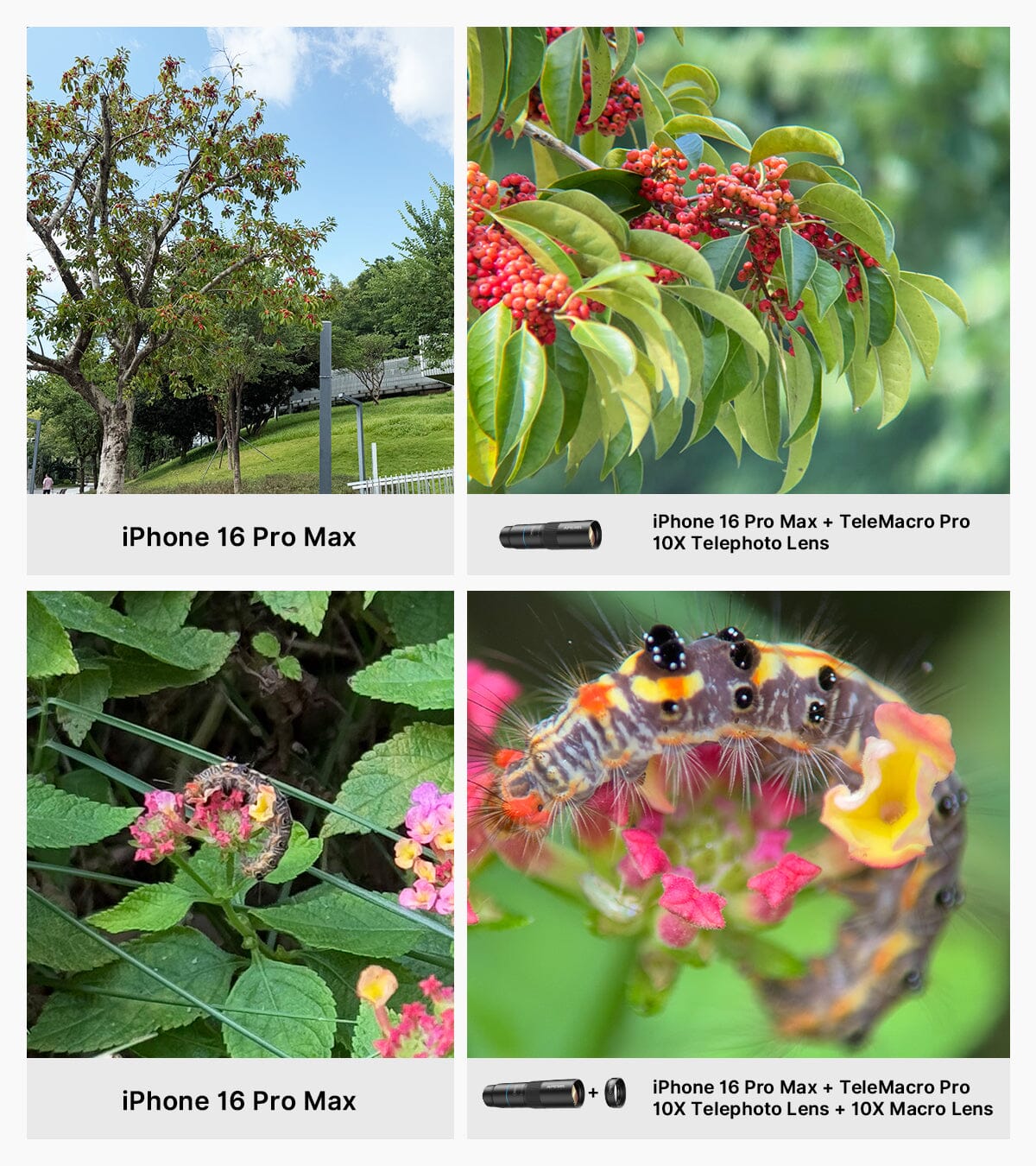 [Preorder] [New] Apexel TeleMacro Pro 10X 2-in-1 Telephoto &amp; Macro Lens for Mobile Phone [2026] engnew6105 Macro Zoom - APEXEL INDIA - Mobile Lens - Mobile Camera Lens - Cellphone Accessories - Phone Lens - Smartphone Lens