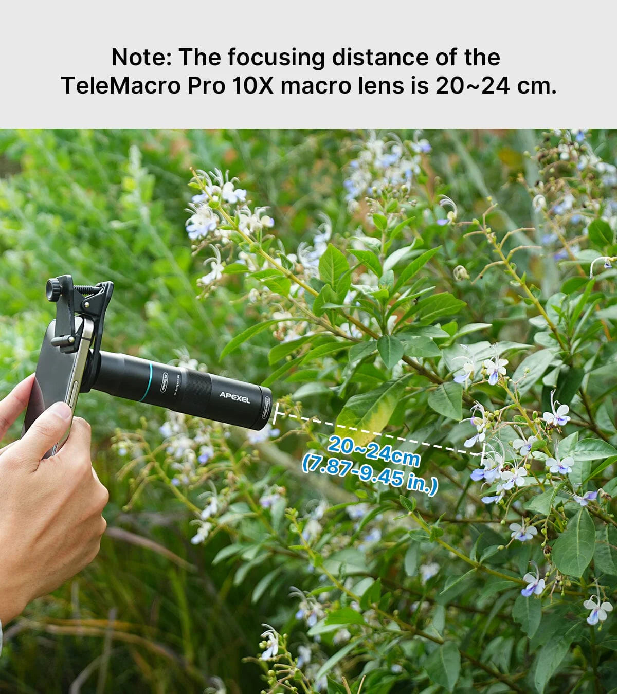 [Preorder] [New] Apexel TeleMacro Pro 10X 2-in-1 Telephoto &amp; Macro Lens for Mobile Phone [2026] engnew6105 Macro Zoom - APEXEL INDIA - Mobile Lens - Mobile Camera Lens - Cellphone Accessories - Phone Lens - Smartphone Lens