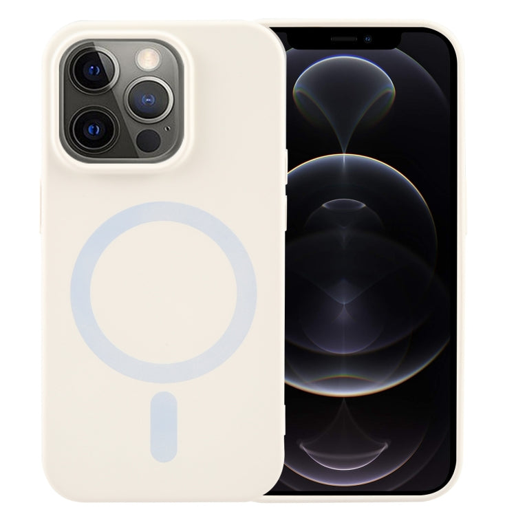 MagSafe Liquid Silicone Phone Case, For iPhone 13, For iPhone 12, For iPhone 12 Pro Max, For iPhone 12 Pro, For iPhone 11 Pro Max, For iPhone 11 Apple Accessories engmag4321 More iPhone Cases - APEXEL INDIA - Mobile Lens - Mobile Camera Lens - Cellphone Accessories - Phone Lens - Smartphone Lens
