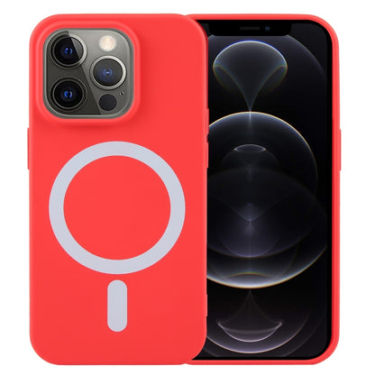 MagSafe Liquid Silicone Phone Case, For iPhone 13, For iPhone 12, For iPhone 12 Pro Max, For iPhone 12 Pro, For iPhone 11 Pro Max, For iPhone 11 Apple Accessories engmag4321 More iPhone Cases - APEXEL INDIA - Mobile Lens - Mobile Camera Lens - Cellphone Accessories - Phone Lens - Smartphone Lens