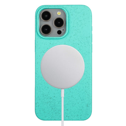 Wheat MagSafe Magnetic Straw Material + TPU Phone Case, For iPhone 11, For iPhone 11 Pro Apple Accessories engwhe4410 More iPhone Cases - APEXEL INDIA - Mobile Lens - Mobile Camera Lens - Cellphone Accessories - Phone Lens - Smartphone Lens