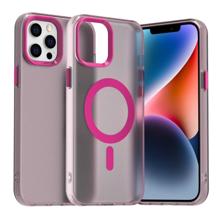 Candy Magsafe PC Hybrid TPU Phone Case, For iPhone 12 Pro, For iPhone 12, For iPhone 11 Pro Max Apple Accessories engcan4824 More iPhone Cases - APEXEL INDIA - Mobile Lens - Mobile Camera Lens - Cellphone Accessories - Phone Lens - Smartphone Lens