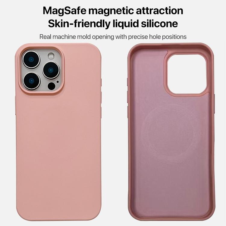 Liquid Silicone Phone MagSafe Case, For iPhone 11, For iPhone 11 Pro