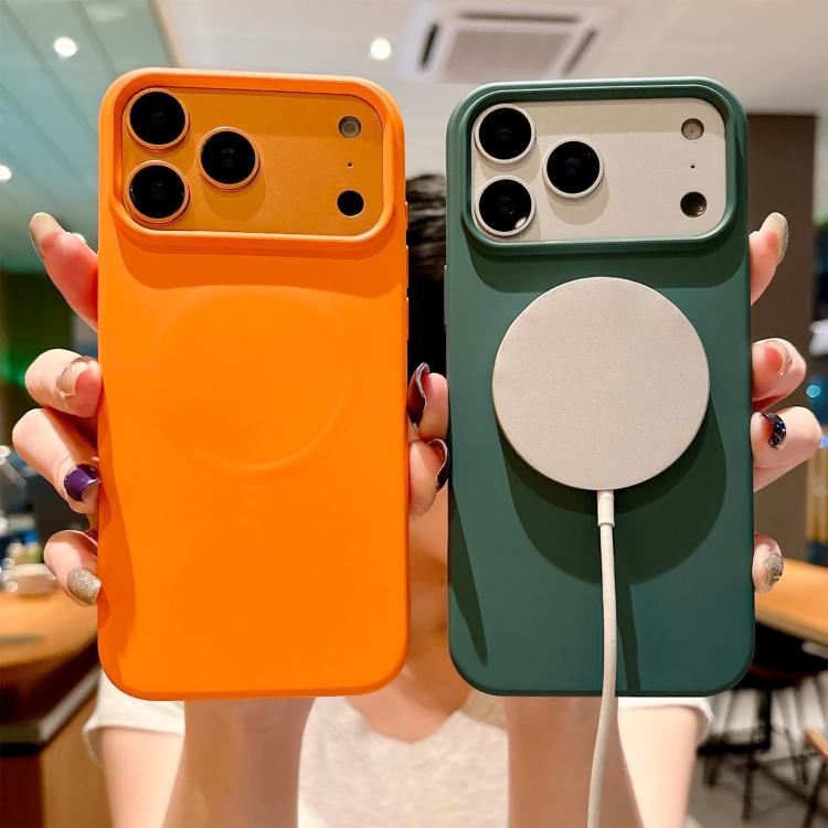Liquid Silicone Phone MagSafe Case, For iPhone 11, For iPhone 11 Pro